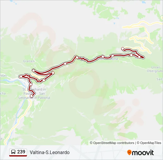 239 Bus Line Map