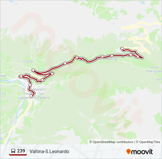 239 Bus Line Map