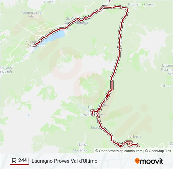 244 Bus Line Map