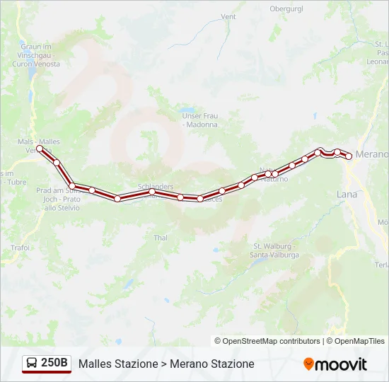 250B Bus Line Map