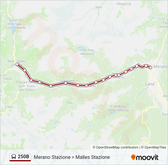 250B Bus Line Map
