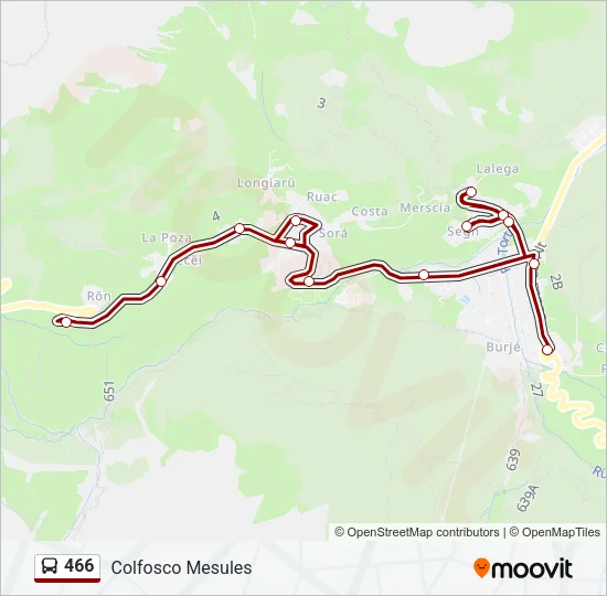 466 Bus Line Map