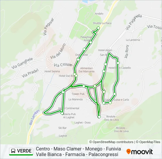 VERDE Bus Line Map
