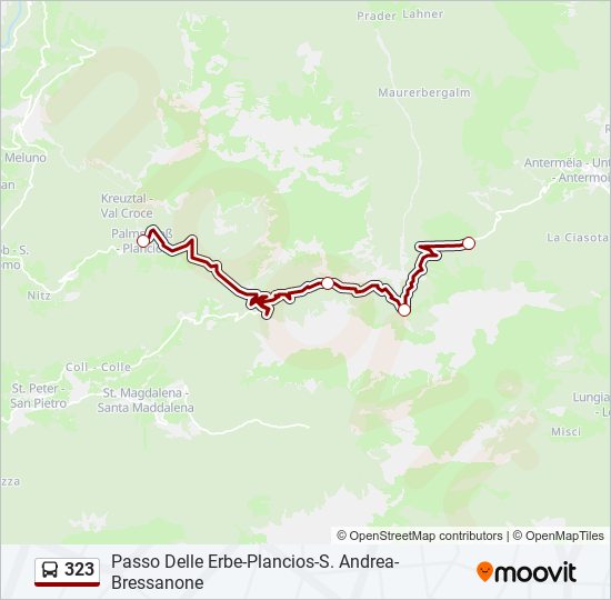 Percorso linea bus 323