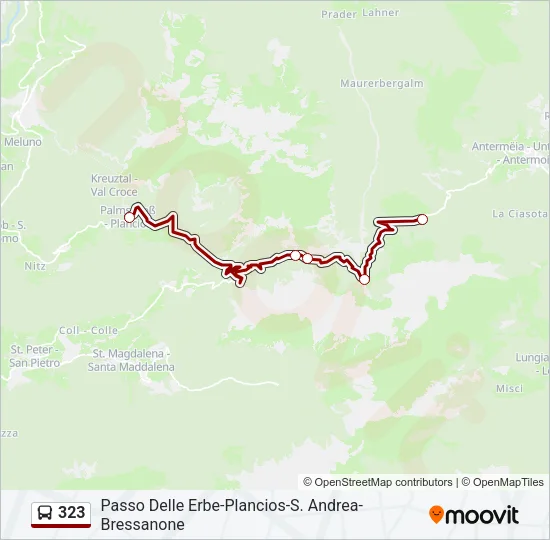 Percorso linea bus 323