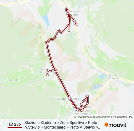 286 Bus Line Map