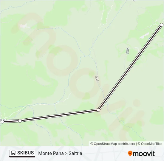 SKIBUS Bus Line Map