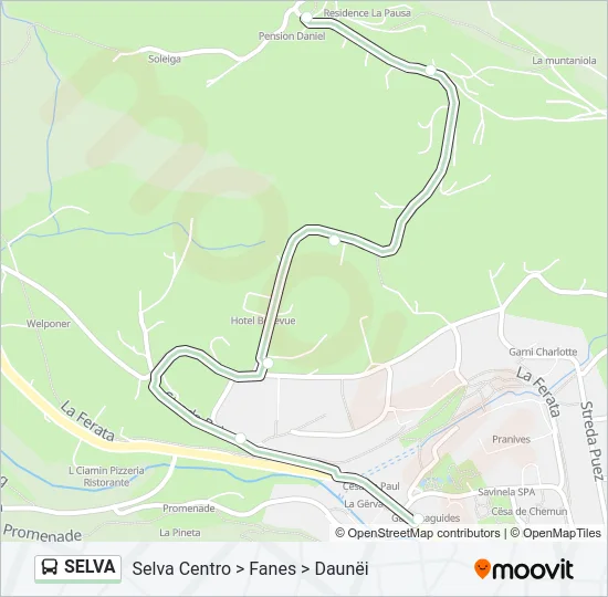 SELVA Bus Line Map