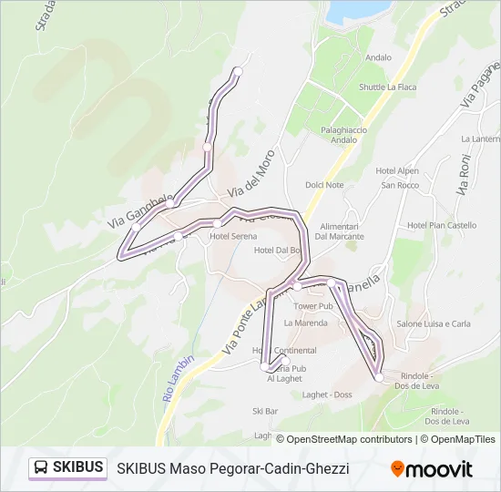 SKIBUS Bus Line Map
