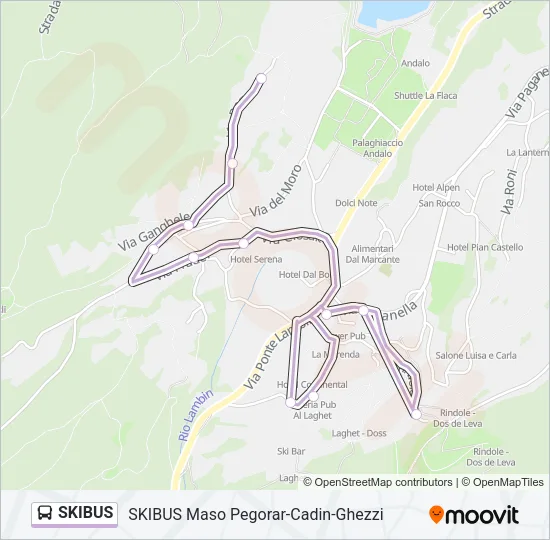 SKIBUS Bus Line Map