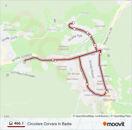 466.1 Bus Line Map