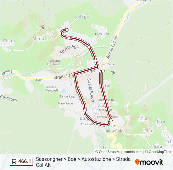 466.1 Bus Line Map