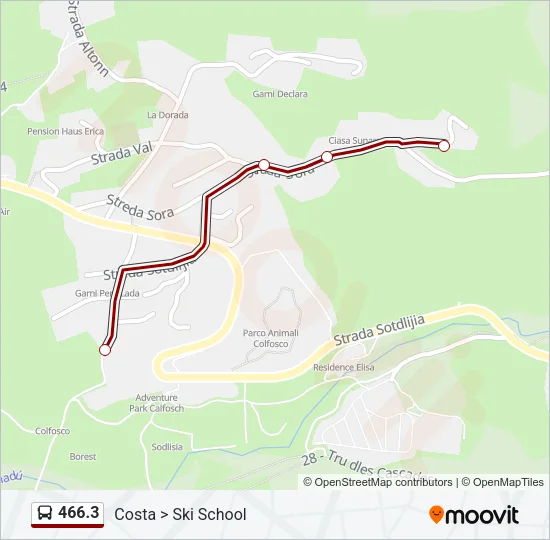 466.3 Bus Line Map
