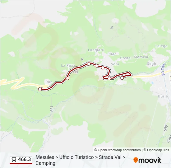 466.3 Bus Line Map