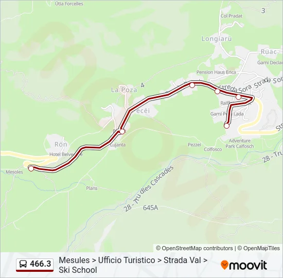 Percorso linea bus 466.3