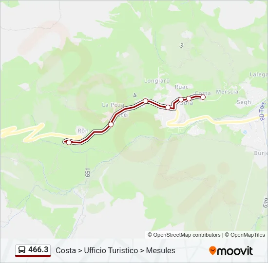 466.3 Bus Line Map