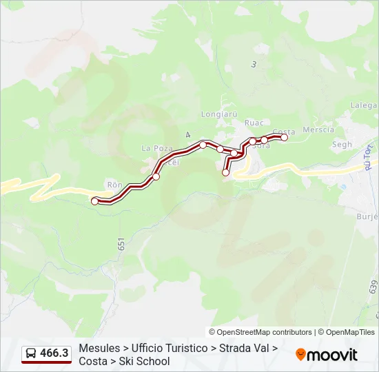 466.3 Bus Line Map