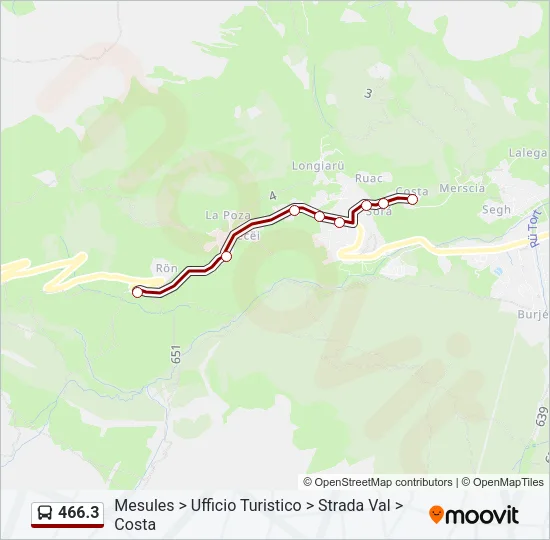466.3 Bus Line Map