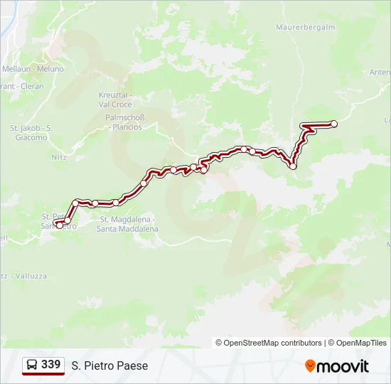 Percorso linea bus 339