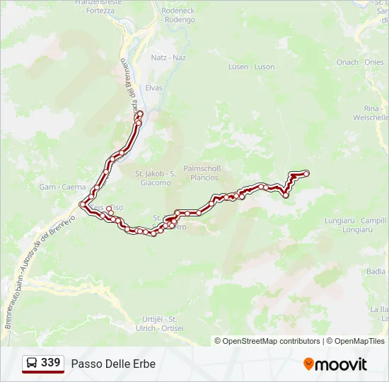 Percorso linea bus 339