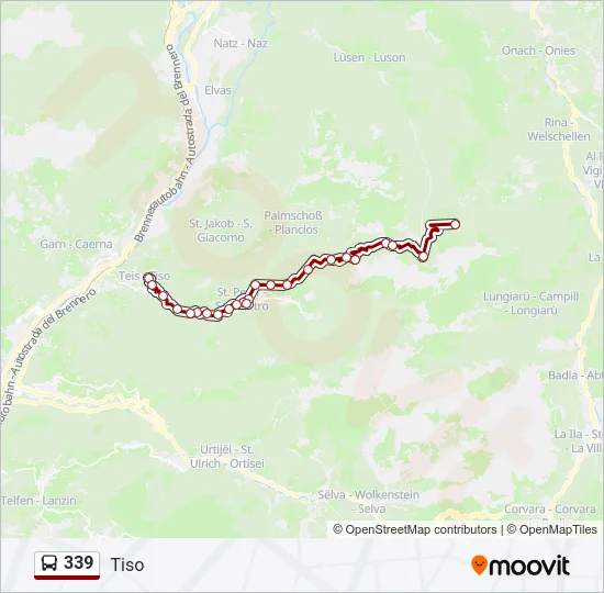 339 Bus Line Map