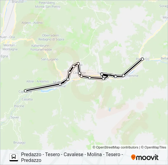 NIGHTBUS  Line Map