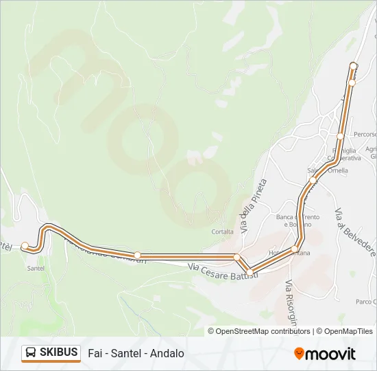 SKIBUS Bus Line Map