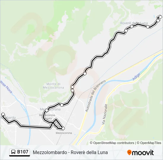 B107 Bus Line Map