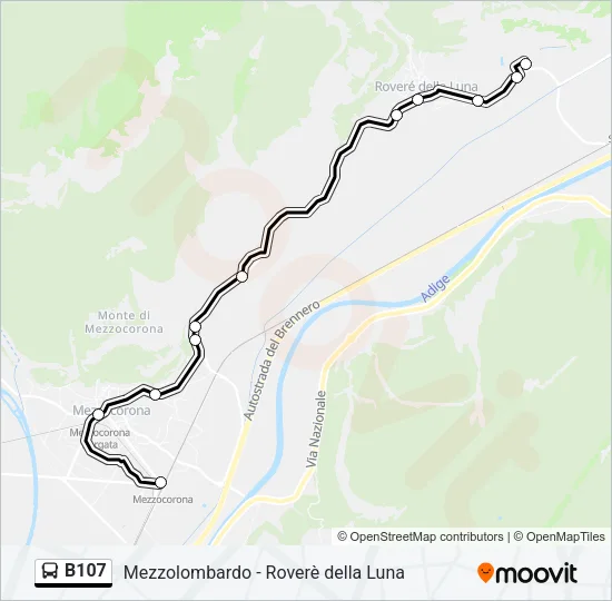 B107 Bus Line Map