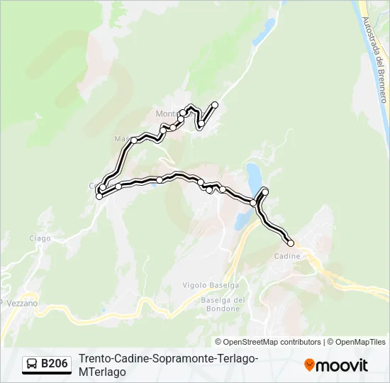 B206 Bus Line Map