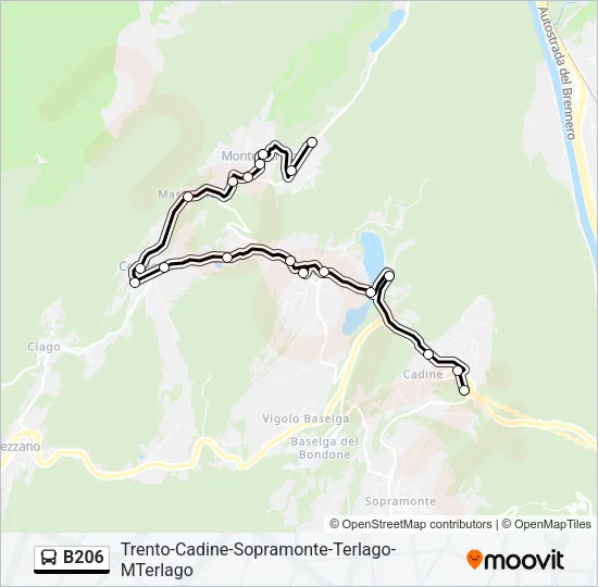B206 Bus Line Map