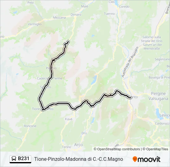 B231 Bus Line Map