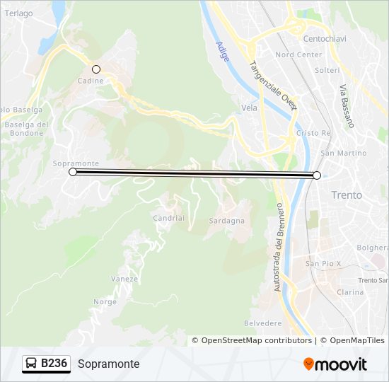 B236 bus Line Map