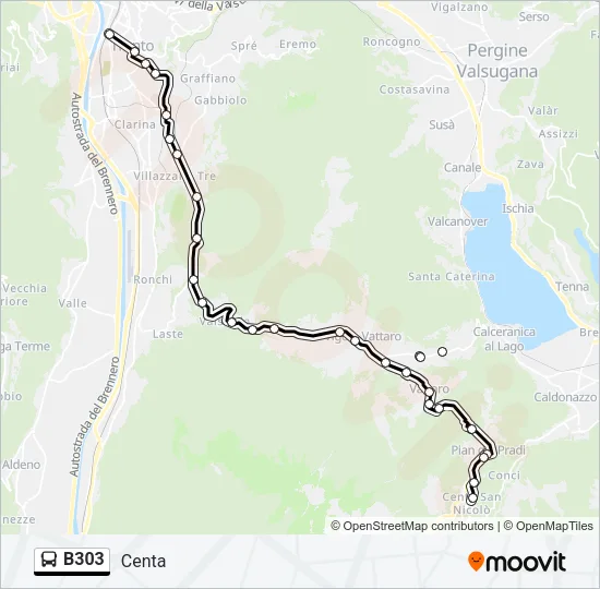 B303 Bus Line Map