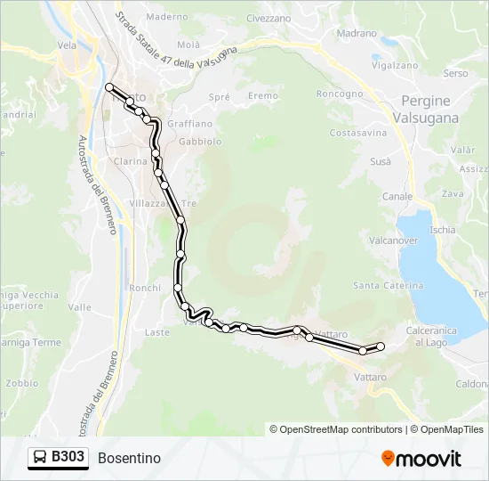 B303 Bus Line Map