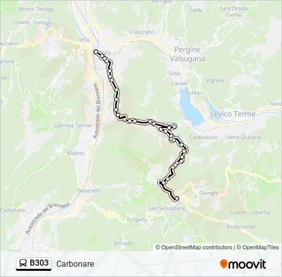 B303 Bus Line Map