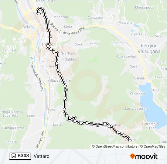 Percorso linea bus B303