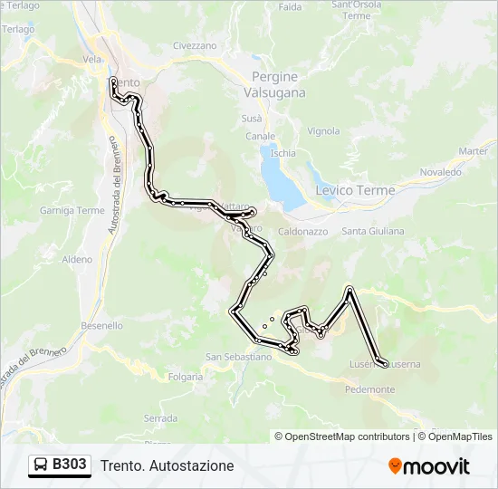 B303 Bus Line Map