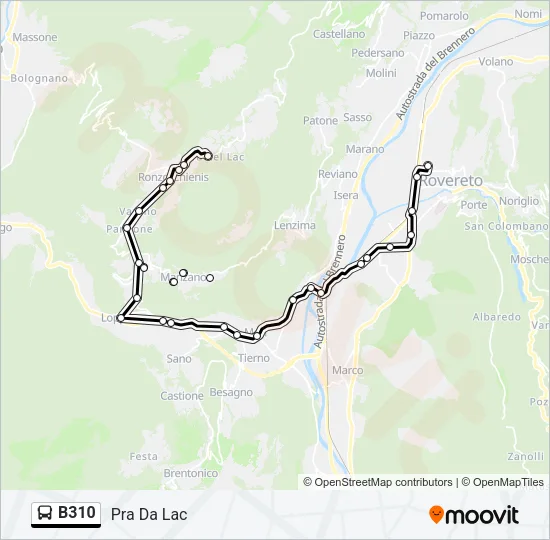 B310 Bus Line Map