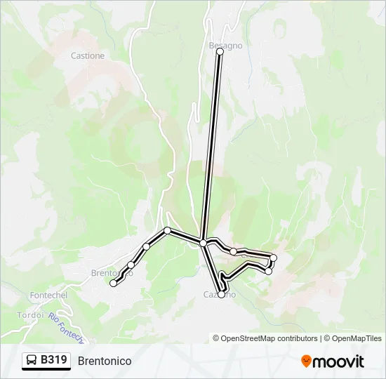 B319 Bus Line Map