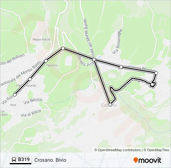 B319 Bus Line Map