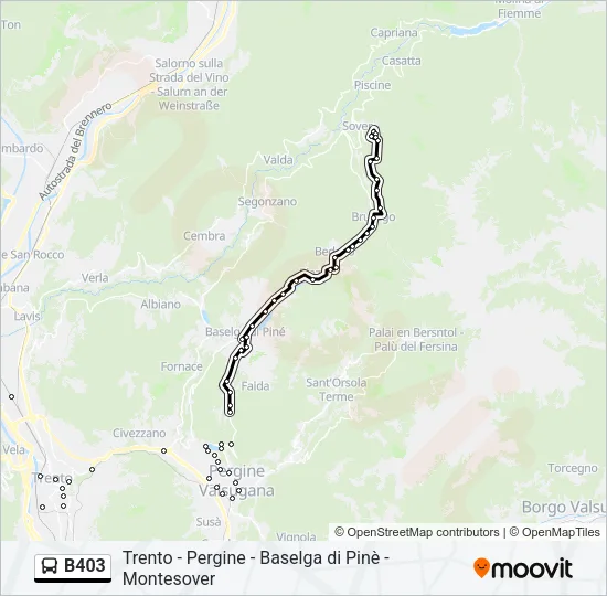 B403 Bus Line Map