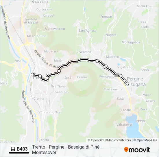 B403 Bus Line Map