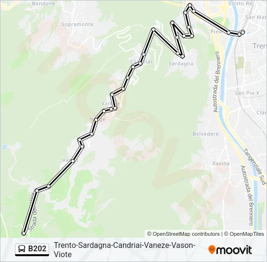 B202 Bus Line Map
