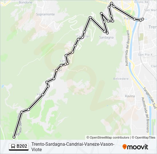 B202 bus Line Map