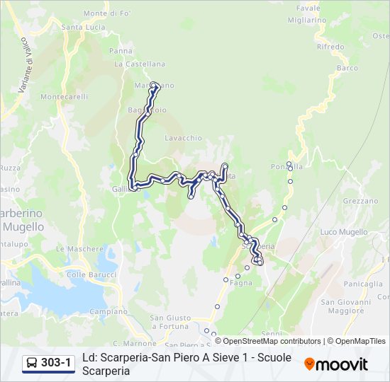 303-1 Bus Line Map