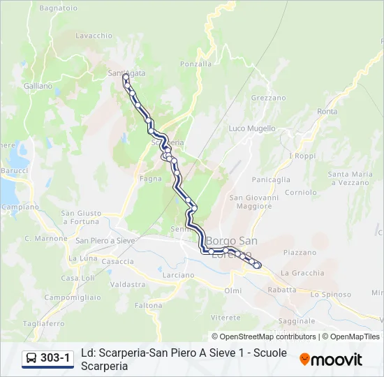 303-1 Bus Line Map
