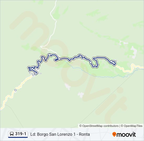 319-1 Bus Line Map