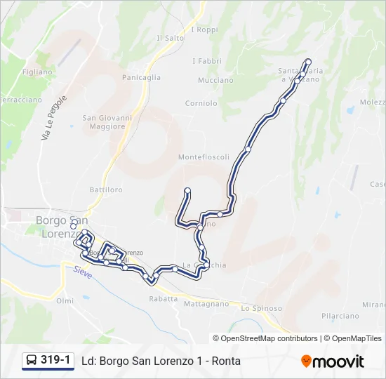 319-1 Bus Line Map