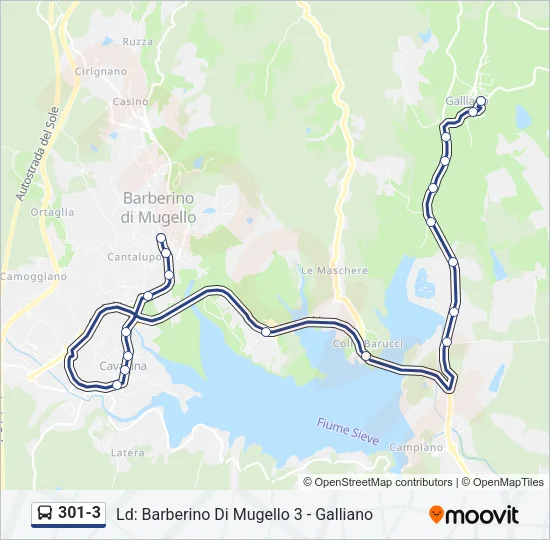 301-3 Bus Line Map
